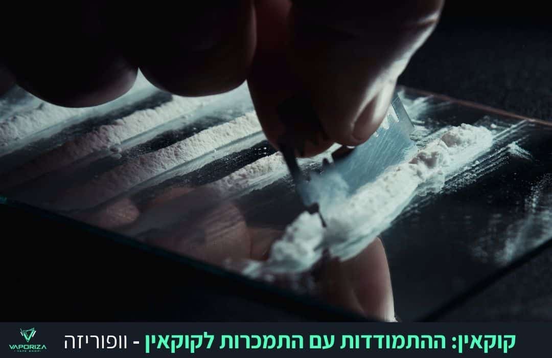 קוקאין, הידוע "אבקה לבנה", "שלג" או "קוק", הוא אחד הסמים המוכרים והמסוכנים ביותר בעולם. בשל הסקרנות הגדולה, המון אנשים בוחרים להתנסות בשימוש בו.